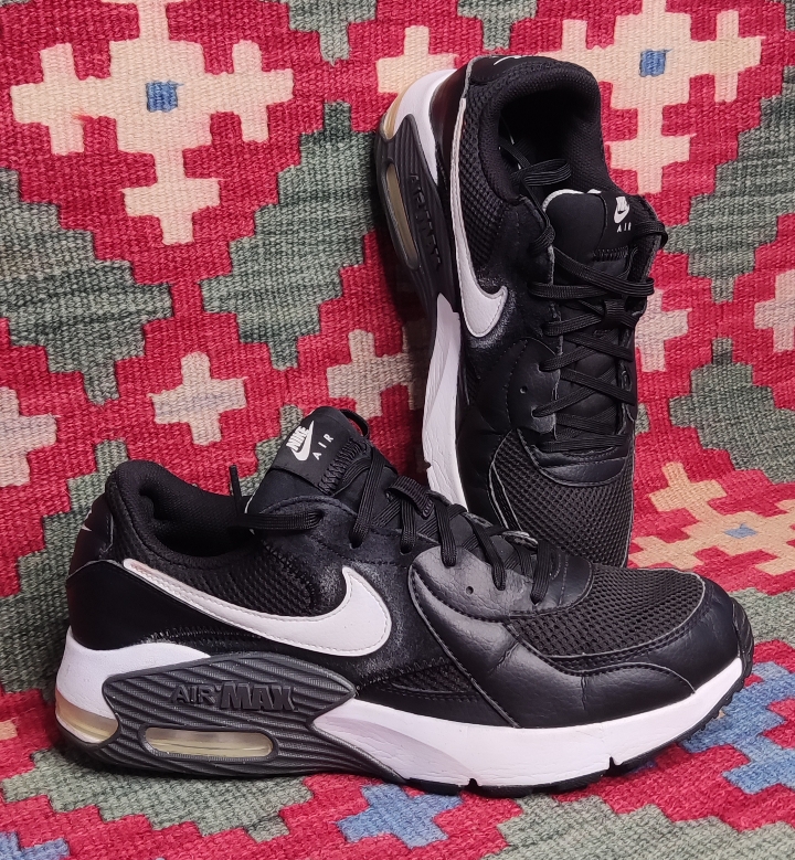 کفش رانینگ NIKE