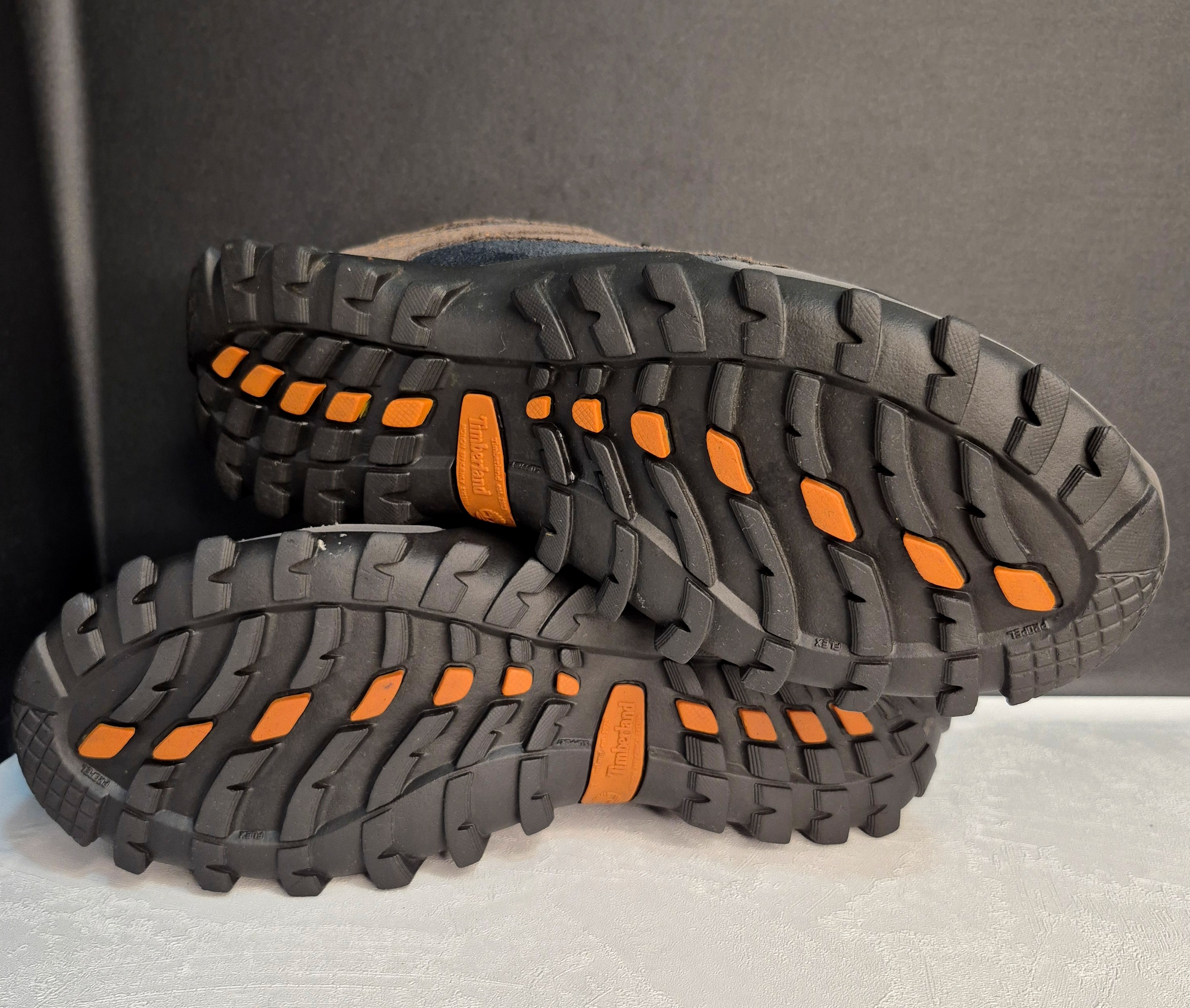 کفش ایمنی Timberland